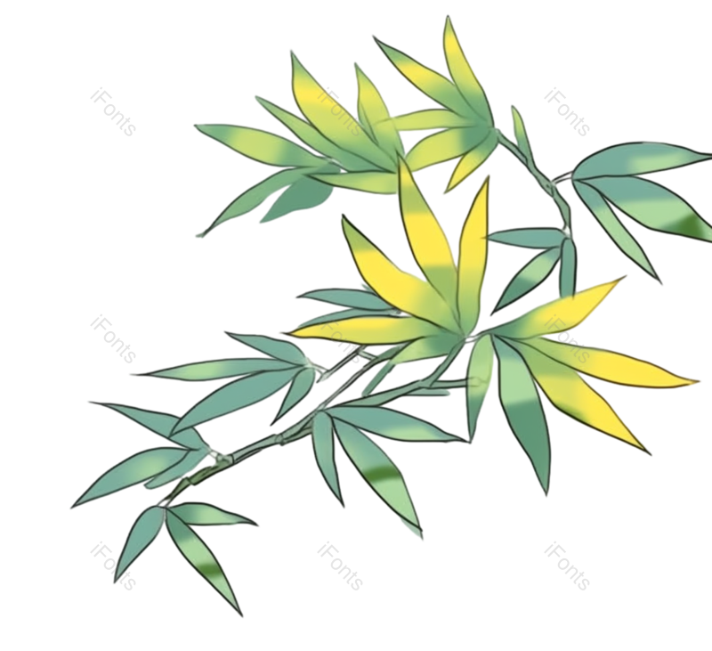 叶子图片,边框元素,纹理PNG,元素免抠素材